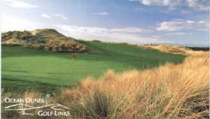 Ocean Dunes - Oregon