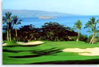 Wailea Resort Emerald Course